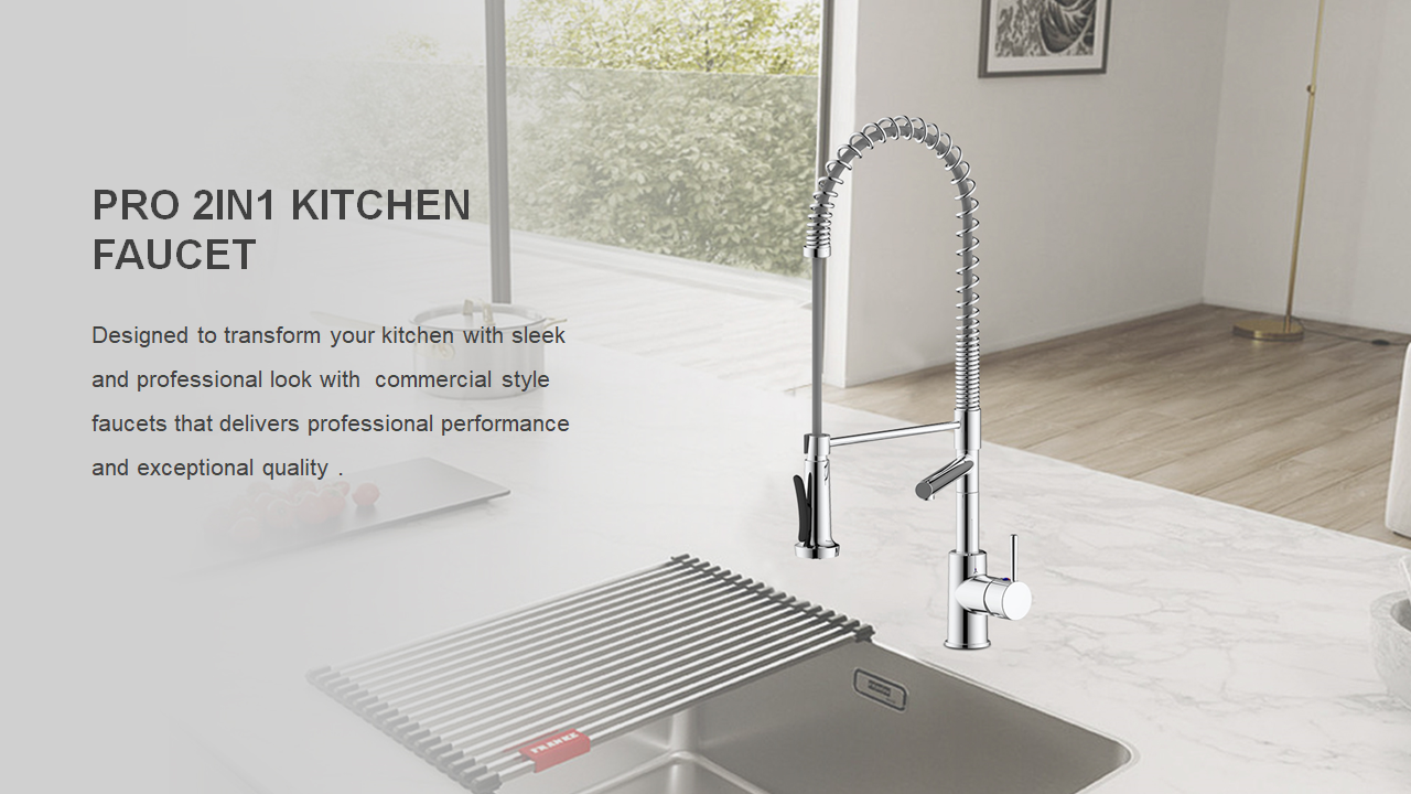 008 Pro 2in1 Kitchen Faucet