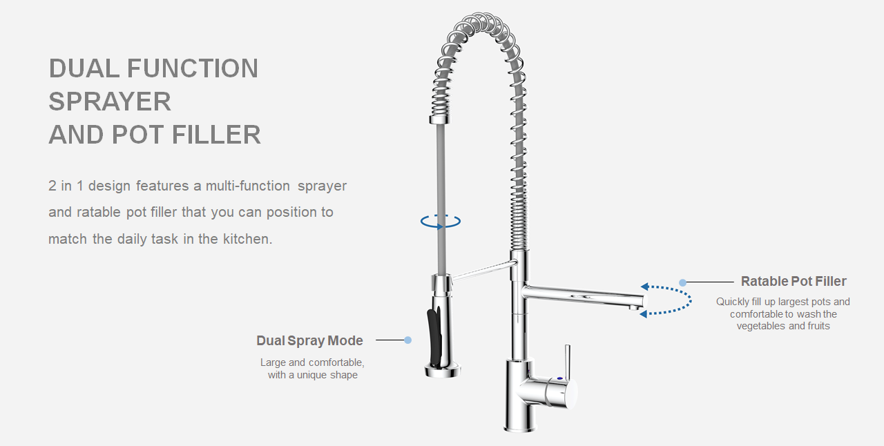 008 Pro 2in1 Kitchen Faucet