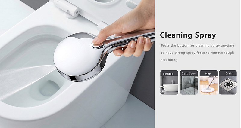 Jetpure Series 4-Setting Shower Combo